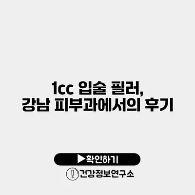 1cc 입술 필러, 강남 피부과에서의 후기