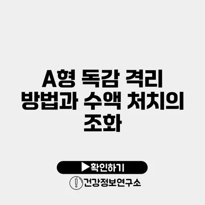 A형 독감 격리 방법과 수액 처치의 조화