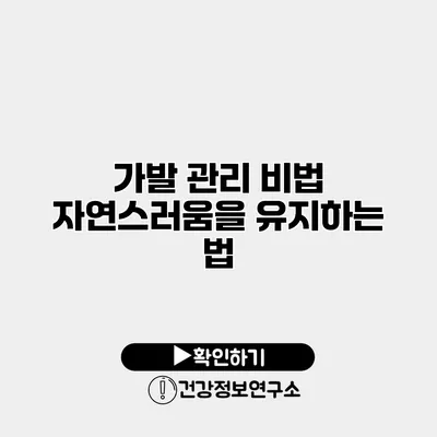 가발 관리 비법 자연스러움을 유지하는 법