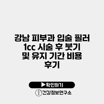 강남 피부과 입술 필러 1cc 시술 후 붓기 및 유지 기간 비용 후기