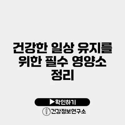 건강한 일상 유지를 위한 필수 영양소 정리