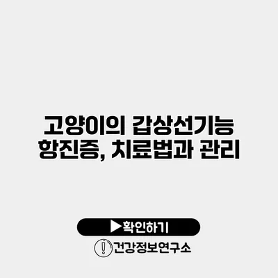 고양이의 갑상선기능 항진증, 치료법과 관리