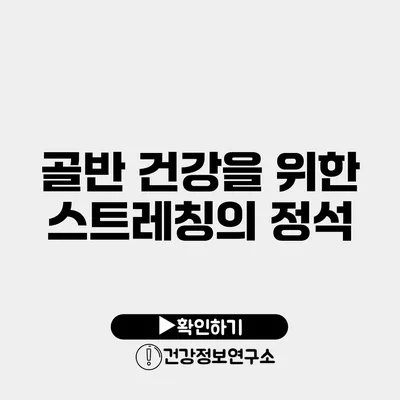 골반 건강을 위한 스트레칭의 정석