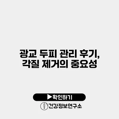 광교 두피 관리 후기, 각질 제거의 중요성