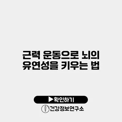 근력 운동으로 뇌의 유연성을 키우는 법
