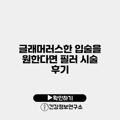 글래머러스한 입술을 원한다면? 필러 시술 후기