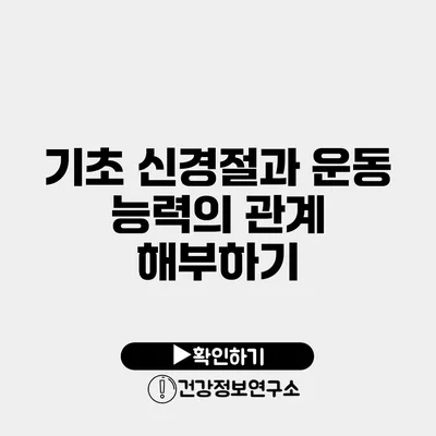 기초 신경절과 운동 능력의 관계 해부하기