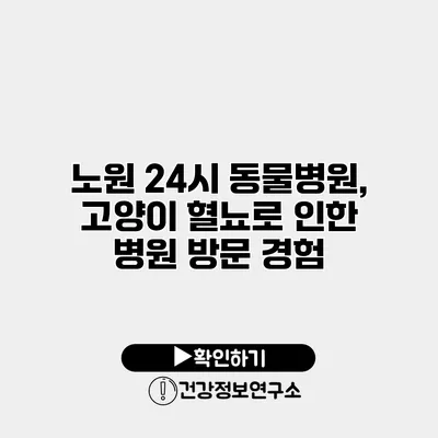 노원 24시 동물병원, 고양이 혈뇨로 인한 병원 방문 경험