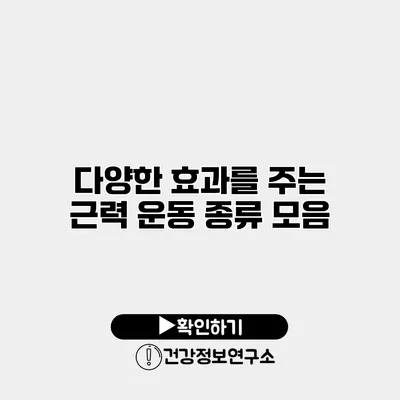 다양한 효과를 주는 근력 운동 종류 모음