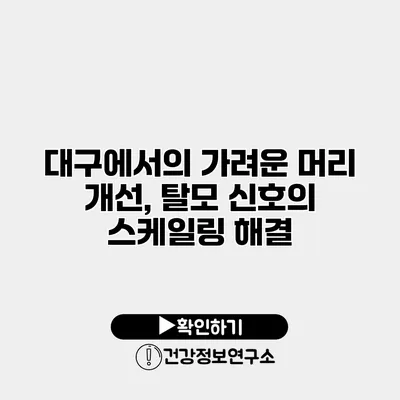 대구에서의 가려운 머리 개선, 탈모 신호의 스케일링 해결