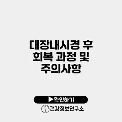 대장내시경 후 회복 과정 및 주의사항