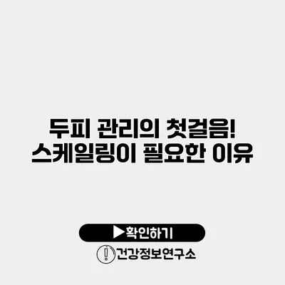 두피 관리의 첫걸음! 스케일링이 필요한 이유