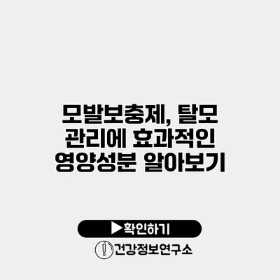 모발보충제, 탈모 관리에 효과적인 영양성분 알아보기