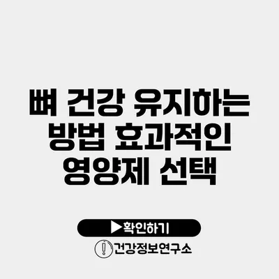 뼈 건강 유지하는 방법 효과적인 영양제 선택