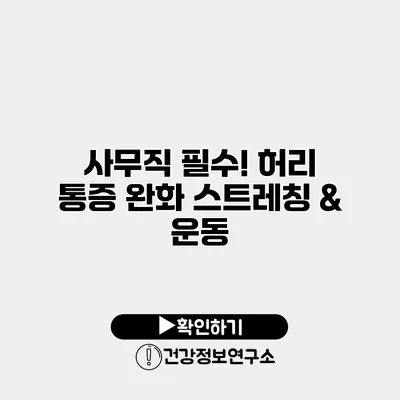 사무직 필수! 허리 통증 완화 스트레칭 & 운동
