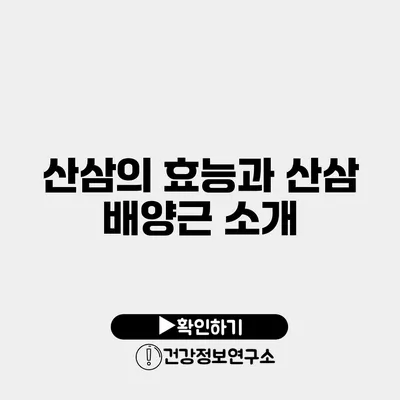 산삼의 효능과 산삼 배양근 소개