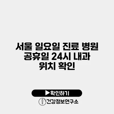 서울 일요일 진료 병원 공휴일 24시 내과 위치 확인