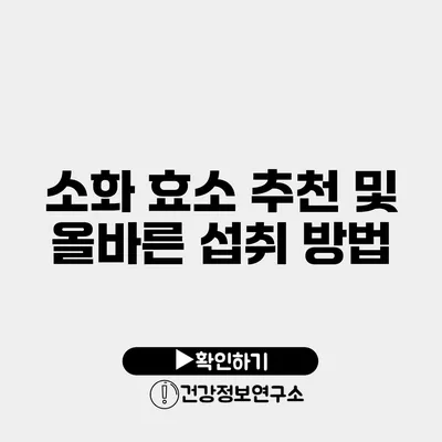 소화 효소 추천 및 올바른 섭취 방법