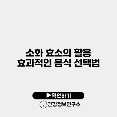 소화 효소의 활용 효과적인 음식 선택법