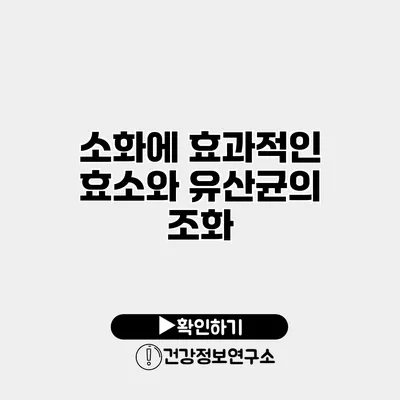 소화에 효과적인 효소와 유산균의 조화