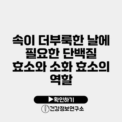 속이 더부룩한 날에 필요한 단백질 효소와 소화 효소의 역할