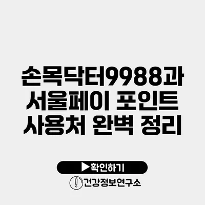 손목닥터9988과 서울페이 포인트 사용처 완벽 정리