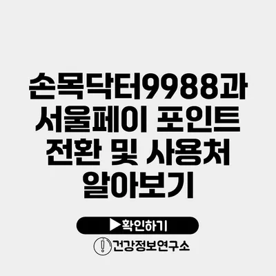 손목닥터9988과 서울페이 포인트 전환 및 사용처 알아보기