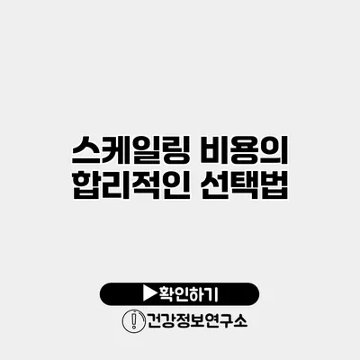 스케일링 비용의 합리적인 선택법