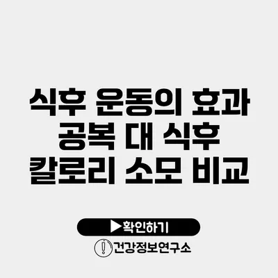 식후 운동의 효과 공복 대 식후 칼로리 소모 비교