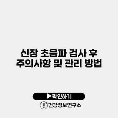 신장 초음파 검사 후 주의사항 및 관리 방법