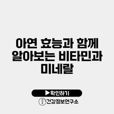 아연 효능과 함께 알아보는 비타민과 미네랄