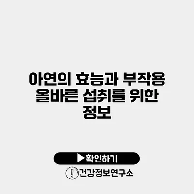 아연의 효능과 부작용 올바른 섭취를 위한 정보