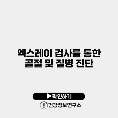 엑스레이 검사를 통한 골절 및 질병 진단