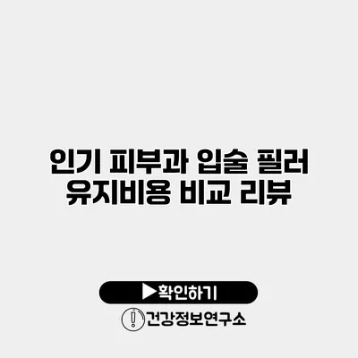 인기 피부과 입술 필러 유지비용 비교 리뷰