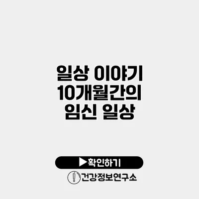 일상 이야기 10개월간의 임신 일상