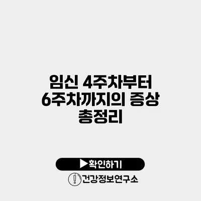 임신 4주차부터 6주차까지의 증상 총정리