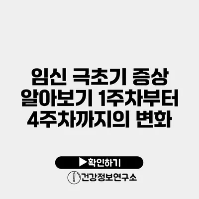 임신 극초기 증상 알아보기 1주차부터 4주차까지의 변화