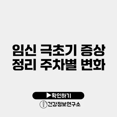 임신 극초기 증상 정리 주차별 변화