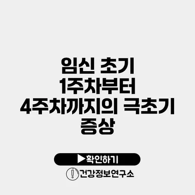 임신 초기 1주차부터 4주차까지의 극초기 증상