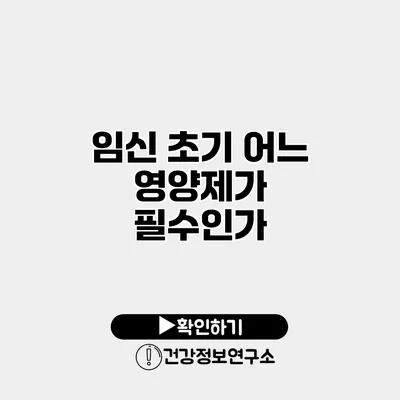 임신 초기 어느 영양제가 필수인가?