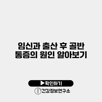 임신과 출산 후 골반 통증의 원인 알아보기