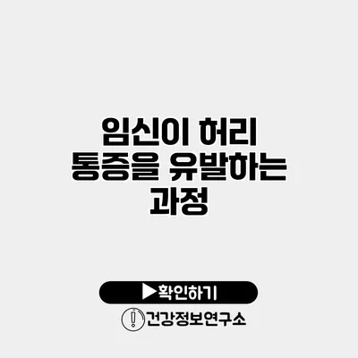 임신이 허리 통증을 유발하는 과정