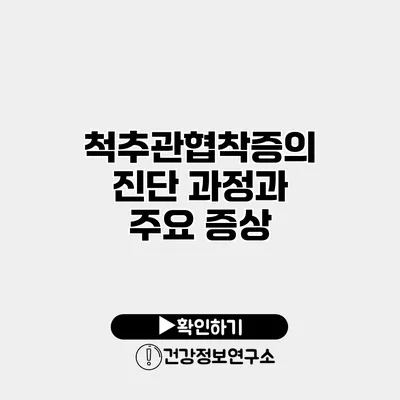 척추관협착증의 진단 과정과 주요 증상