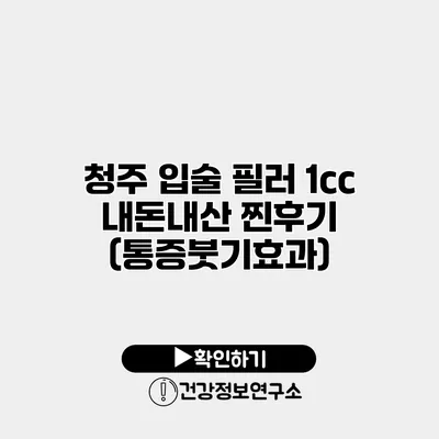 청주 입술 필러 1cc 내돈내산 찐후기 (통증/붓기/효과)