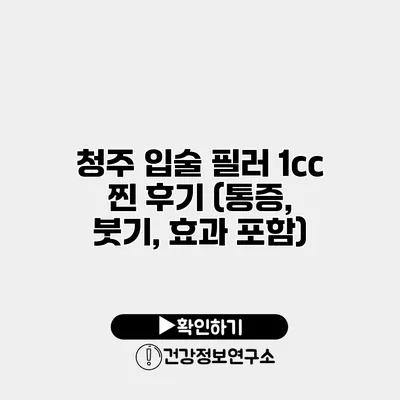 청주 입술 필러 1cc 찐 후기 (통증, 붓기, 효과 포함)