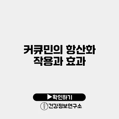 커큐민의 항산화 작용과 효과