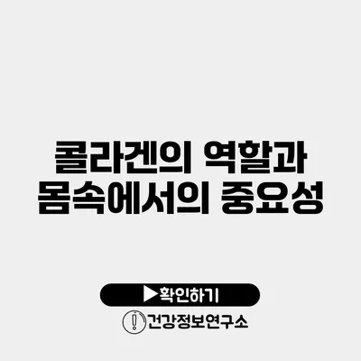 콜라겐의 역할과 몸속에서의 중요성