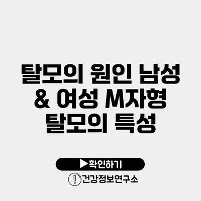 탈모의 원인 남성 & 여성 M자형 탈모의 특성