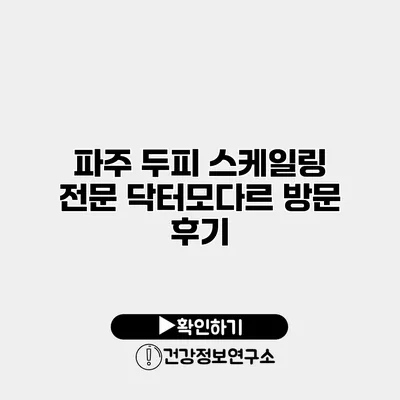 파주 두피 스케일링 전문 닥터모다르 방문 후기