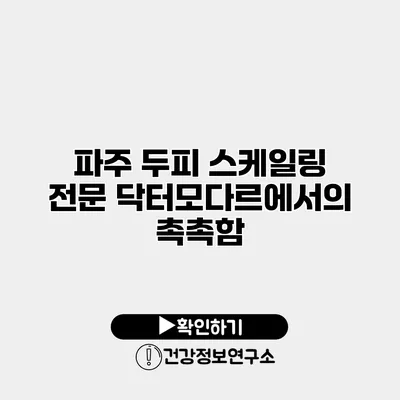 파주 두피 스케일링 전문 닥터모다르에서의 촉촉함